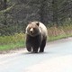 A Mitad Del Camino