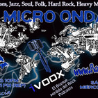 El Micro Ondas Voices of A.O.R. 1009