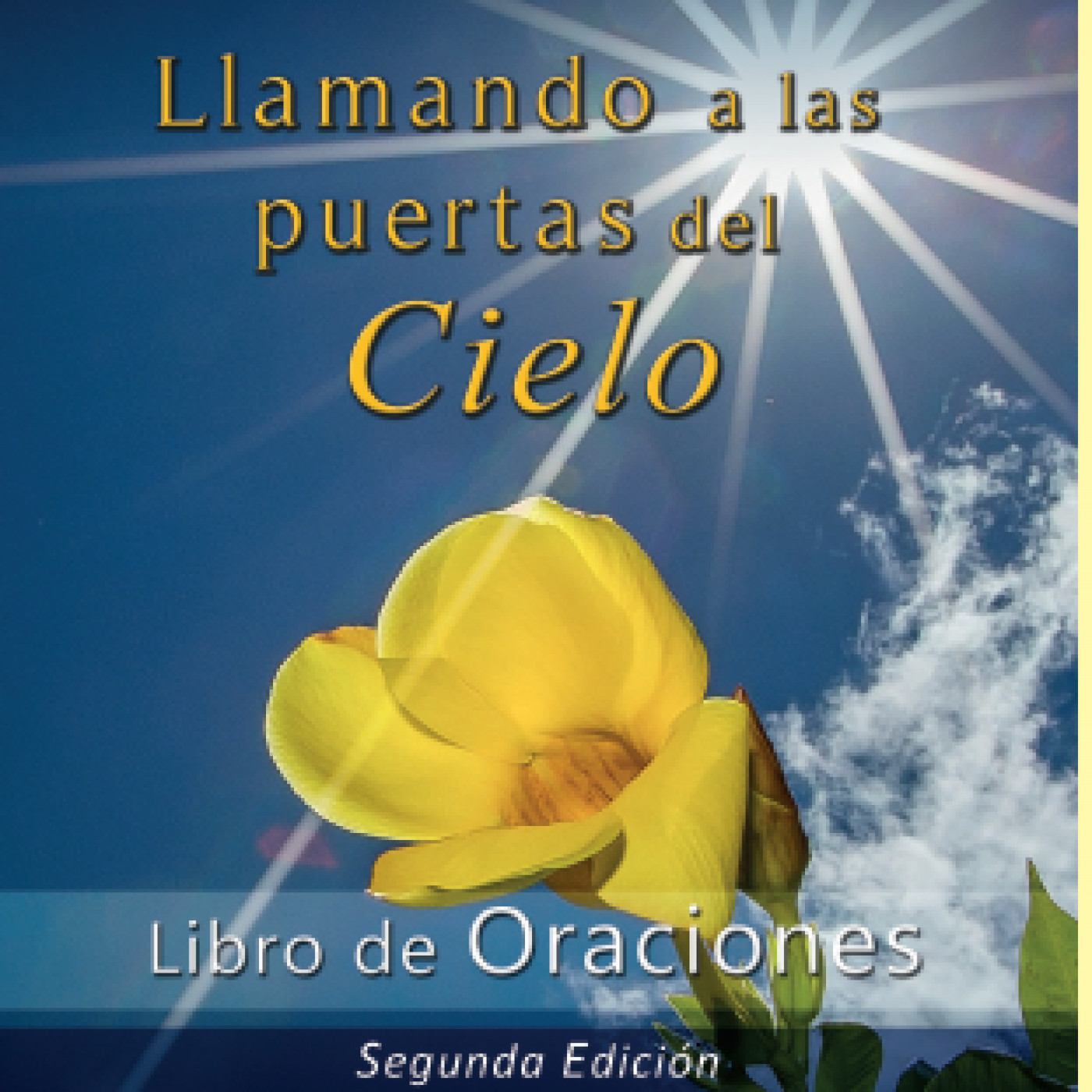 Programa Semanal