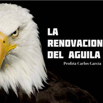 La Renovación del Aguila - Predicaciones Profeticas - Predicaciones  Proféticas - Profeta Carlos García - Podcast en iVoox