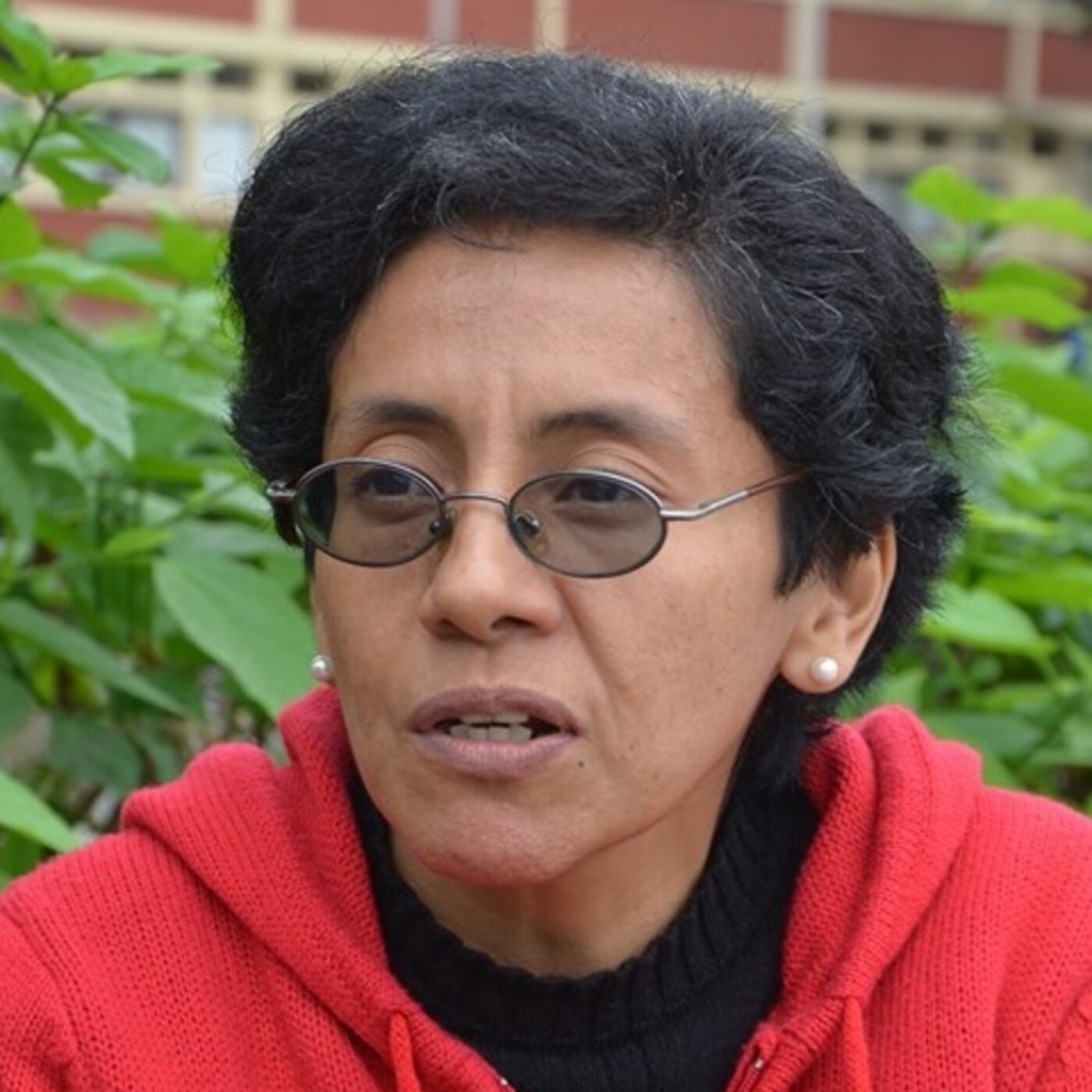 Programa de Literatura Peruana