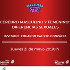 1167. Cerebro masculino y femenino. Diferencias sexuales.
