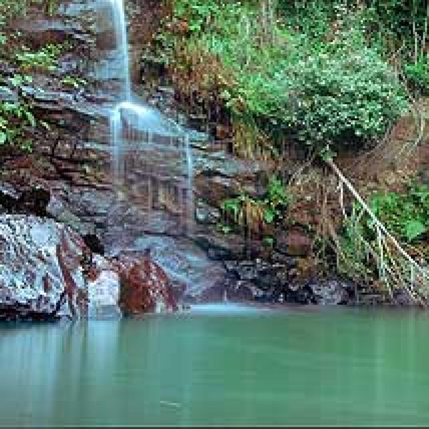 Parque Natural de Los Alcornocales episode artwork