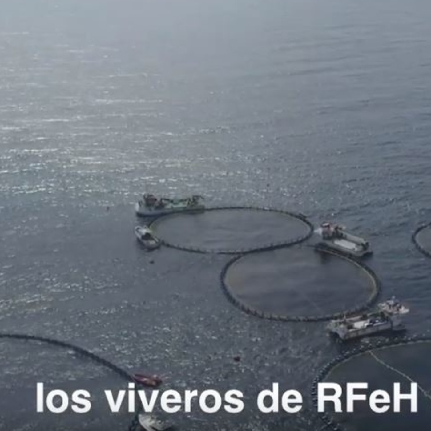 Ricardo Fuentes Atun Rojo