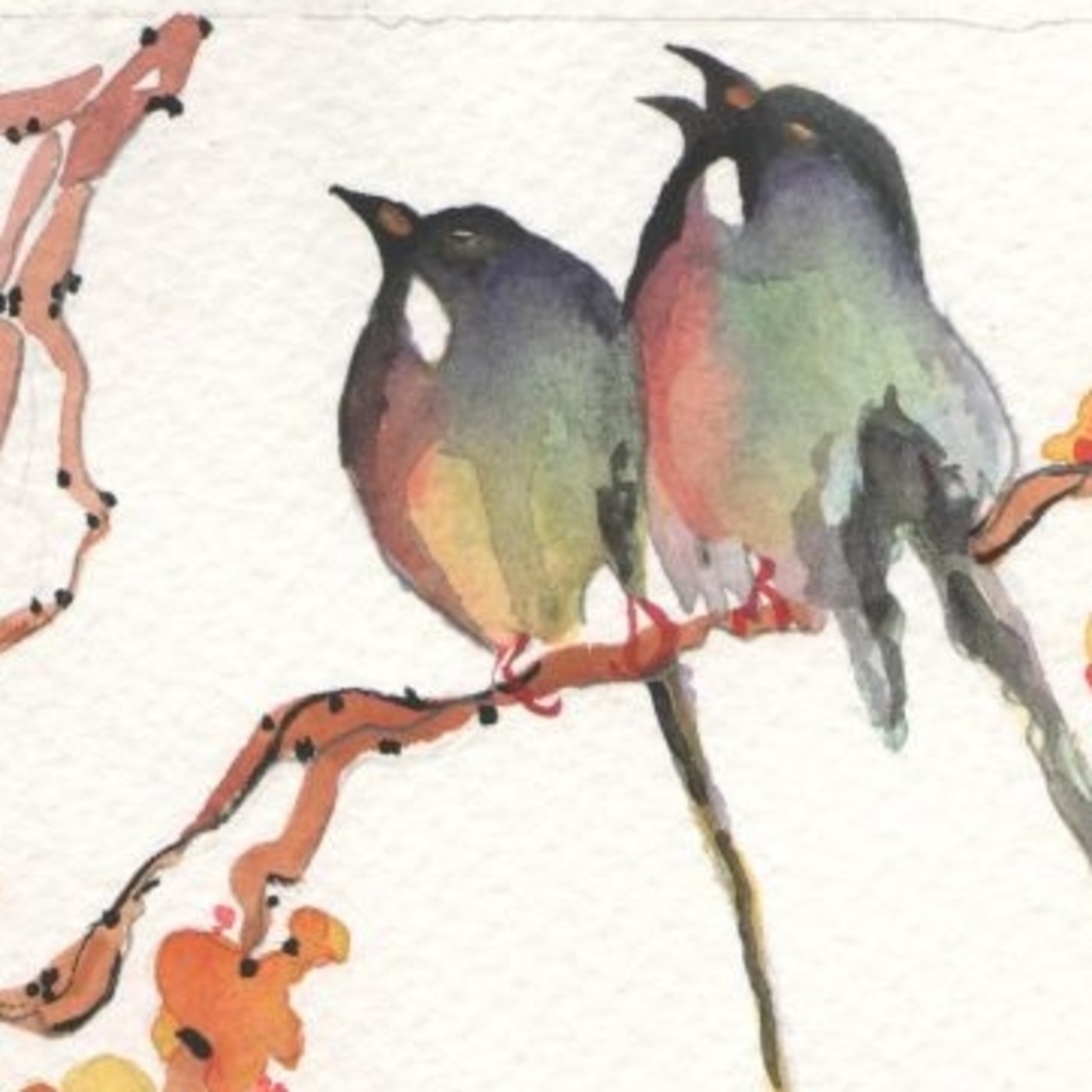Escuchando a la Naturaleza episode artwork
