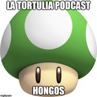 La Tortulia #119 - Hongos