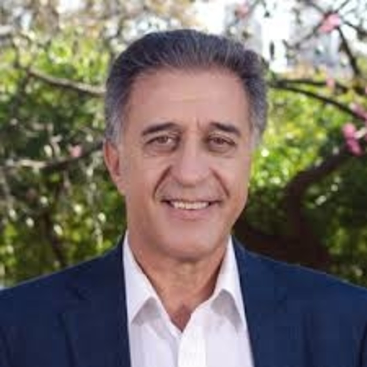 Artículo 14