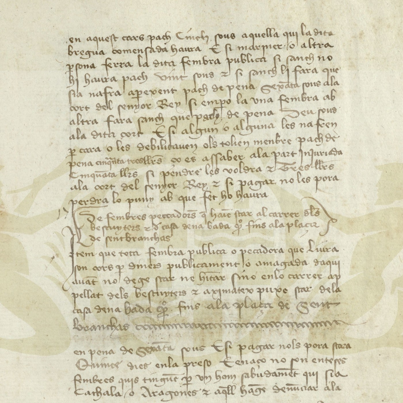 LABORATORIO LETTERE