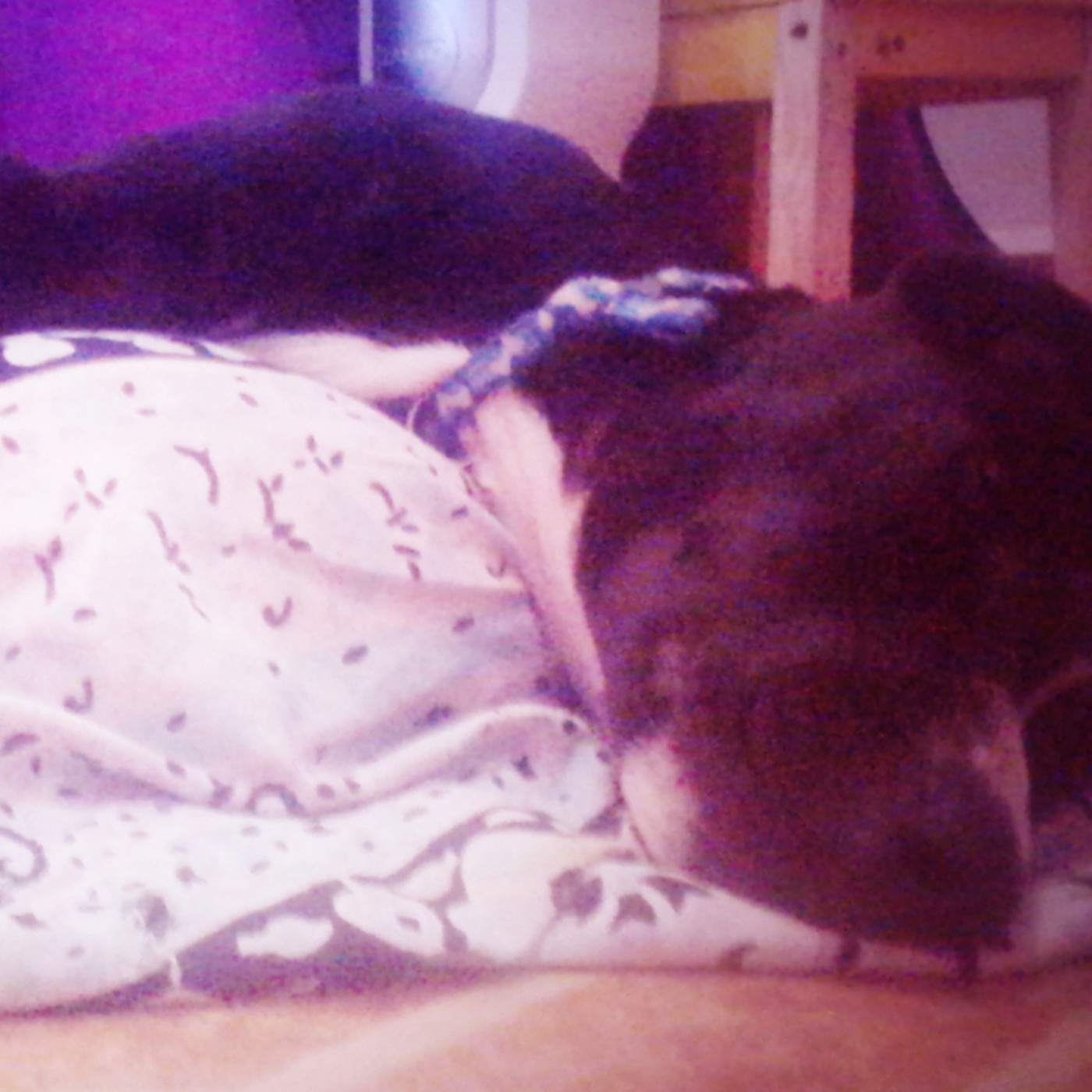 FILOSOFANDOANDO