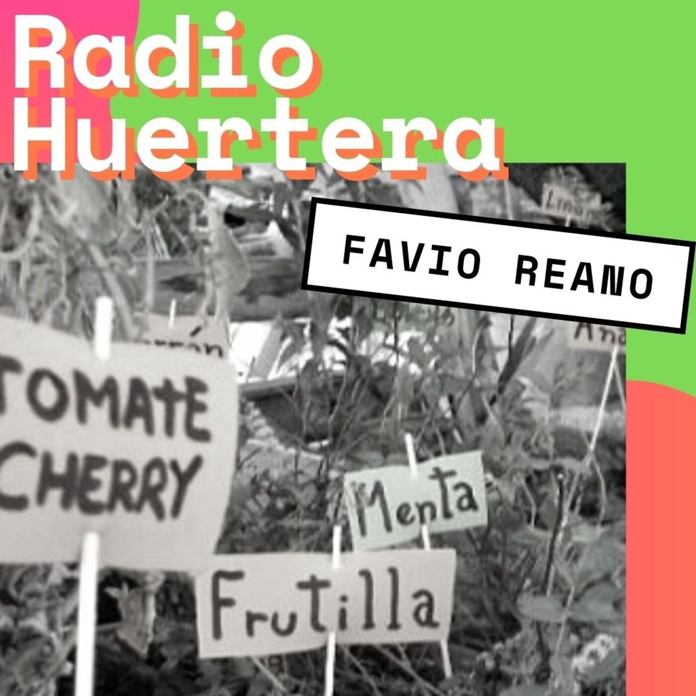 Radio Huertera con Favio Reano - Cultivo de hoja - Sexta Parte