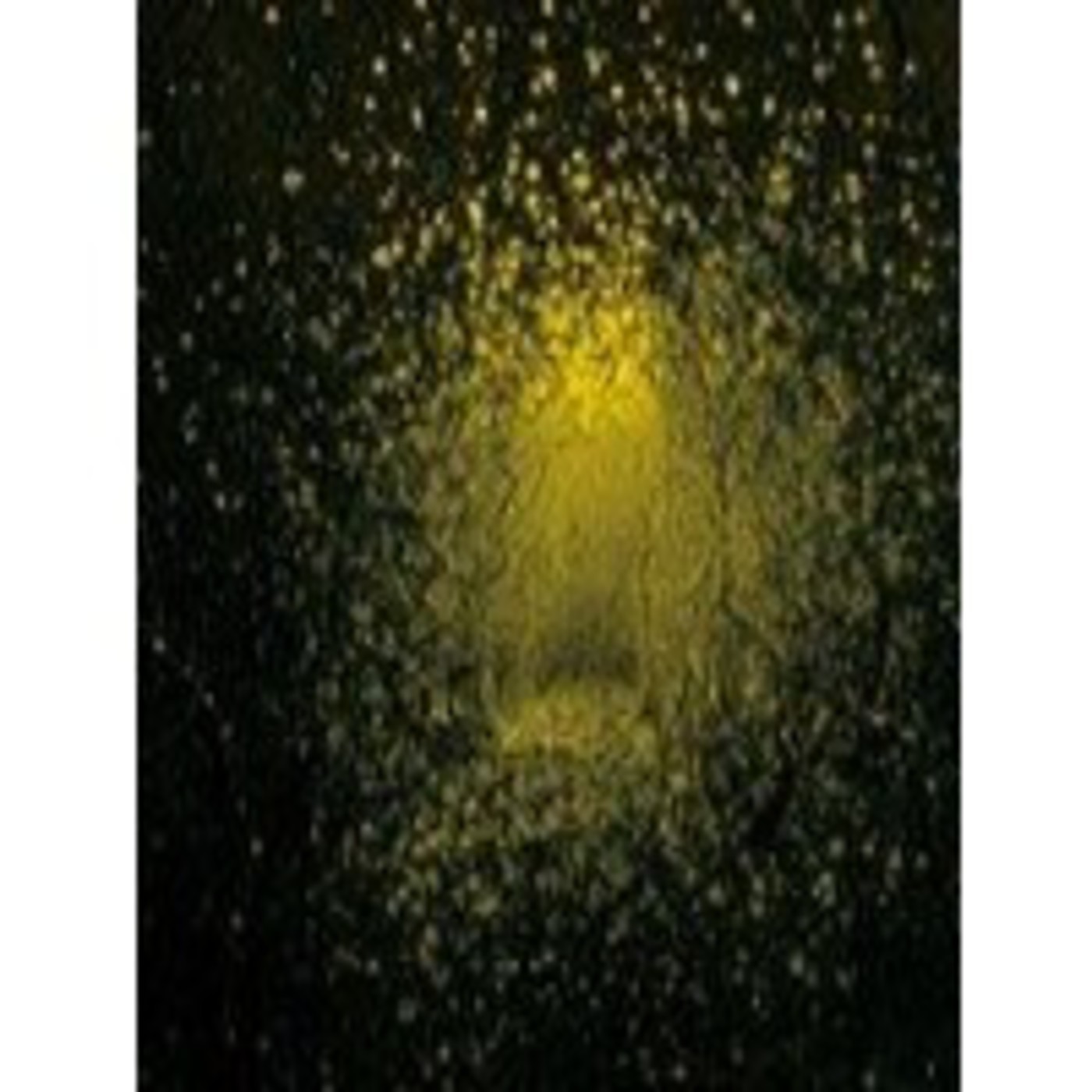 El Telescopio 197, con The Antlers, Lüger, Nick Cave, PS I Love You, Destroyer... episode artwork
