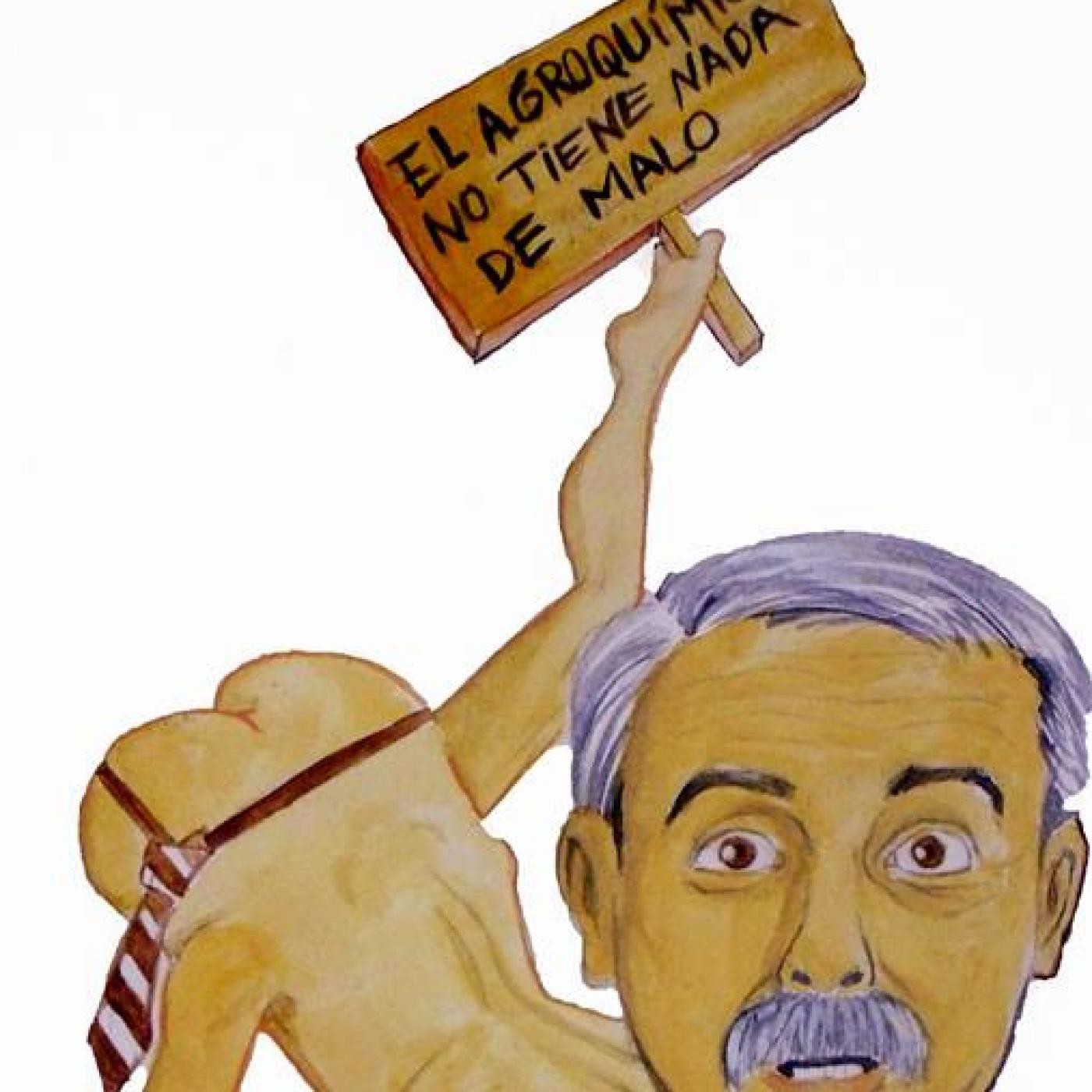 Secciones