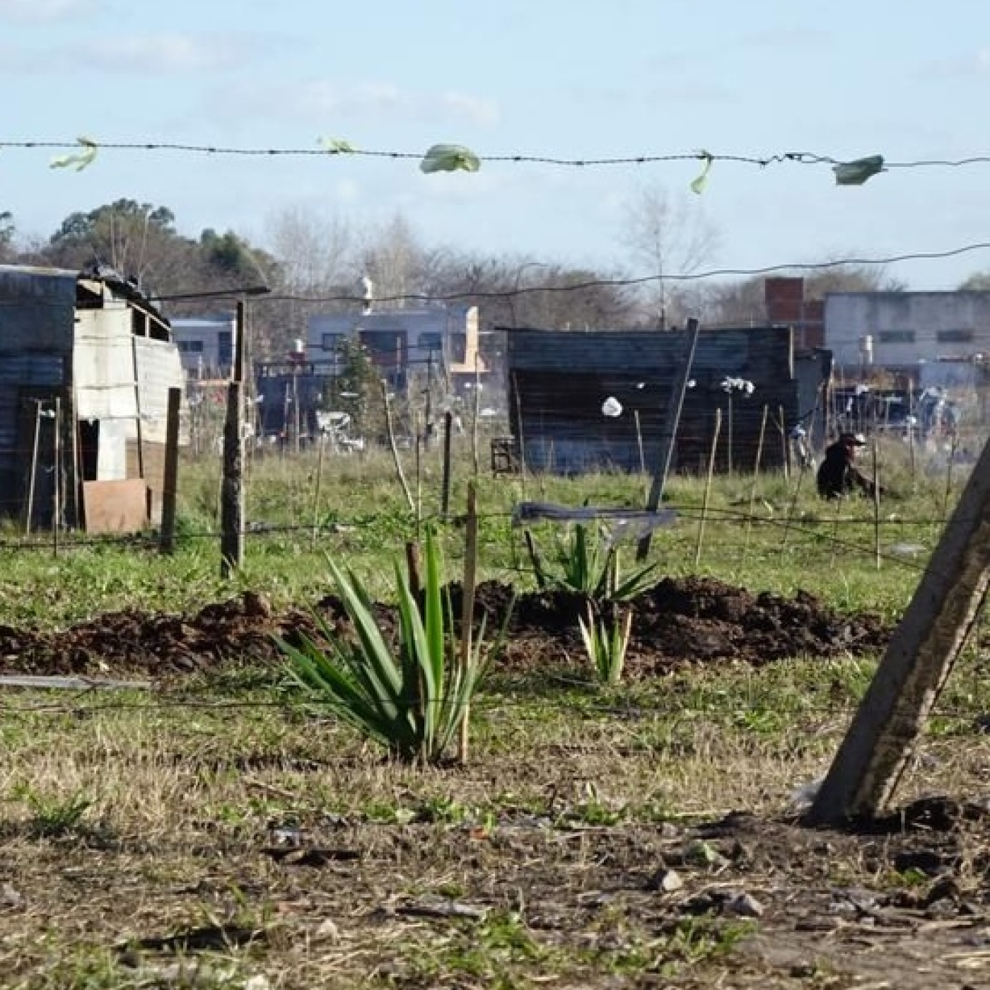 EL PUEBLO OPINA Y DENUNCIA.