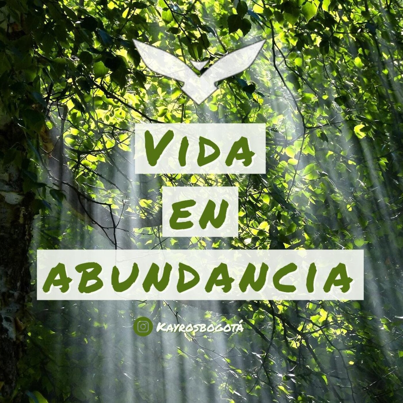 Palabra Diaria