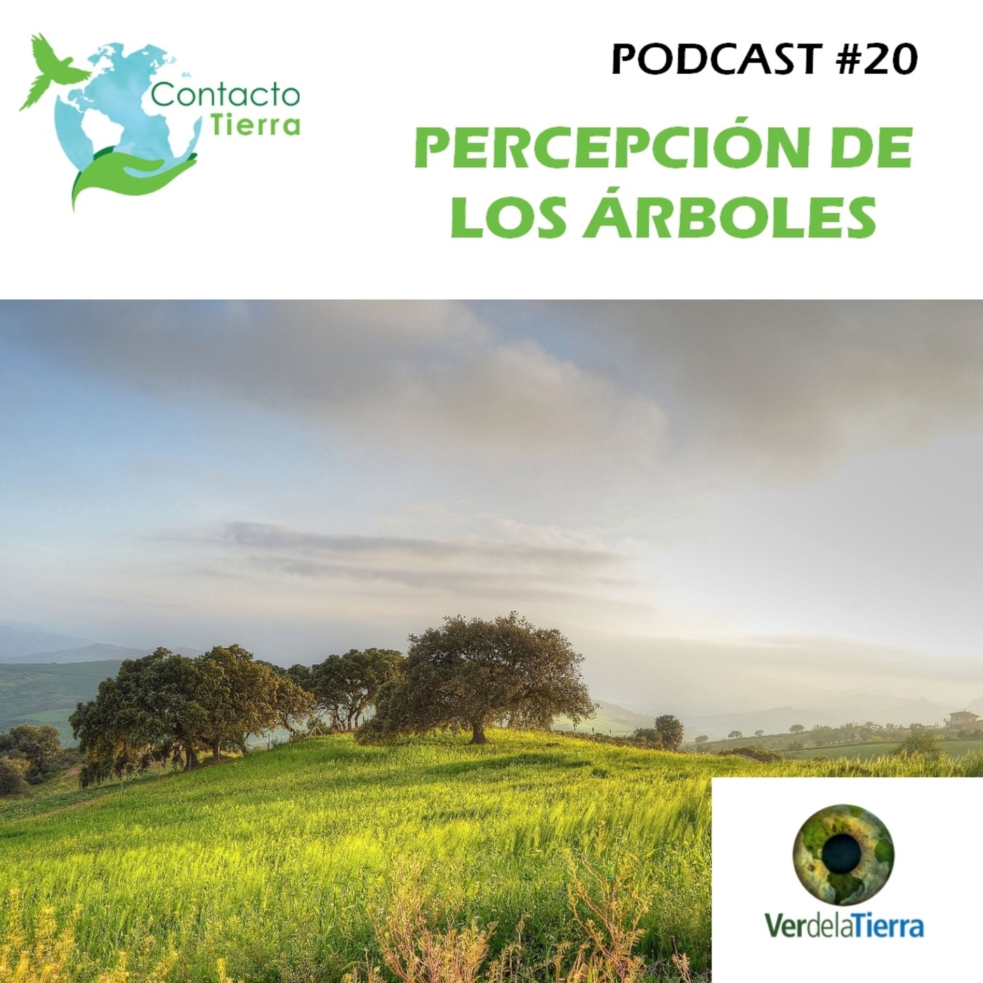 Contacto Tierra Radio USB