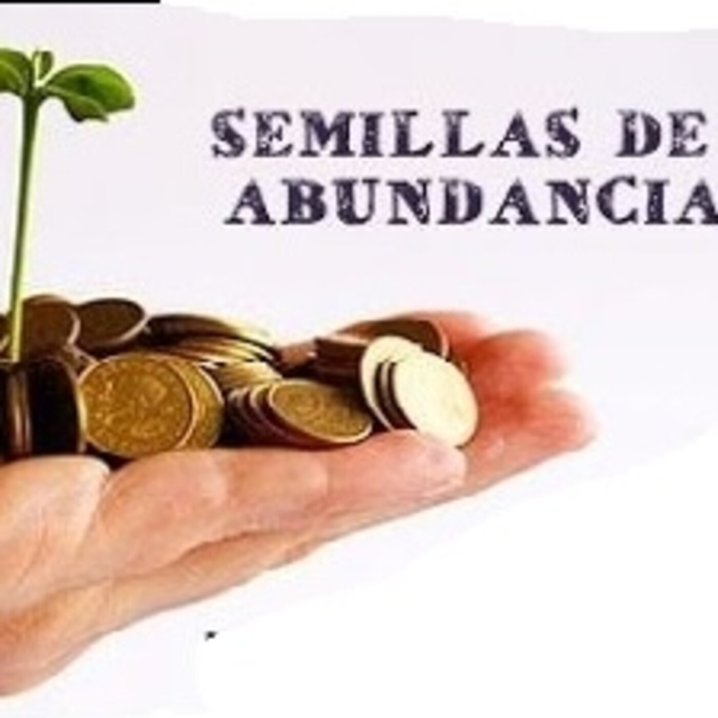 comunidad RICH TEAM