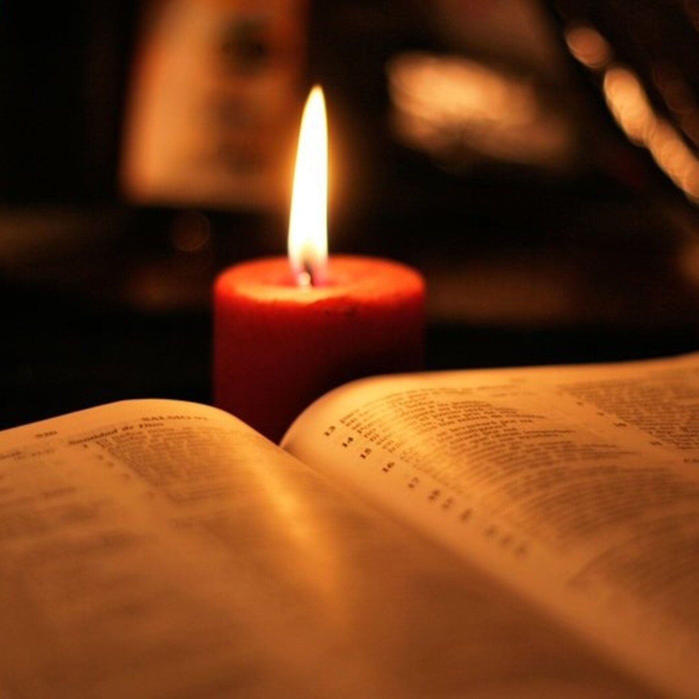 Catequesis: Evangelio del día - 2019