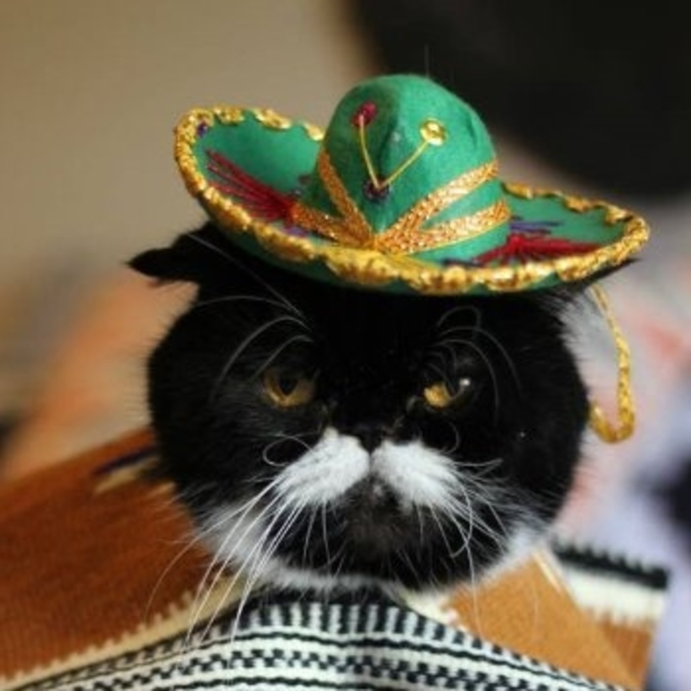 mexican news