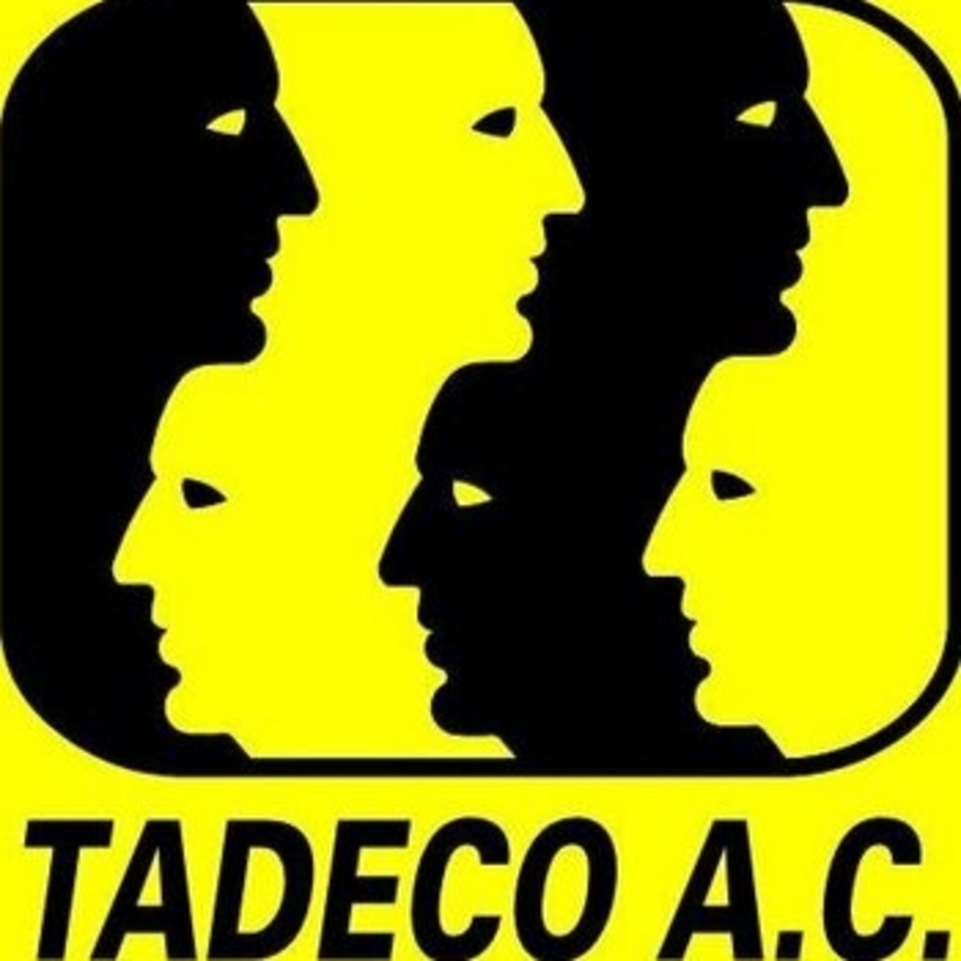 Audios Taller Desarrollo Comunitario A.C.