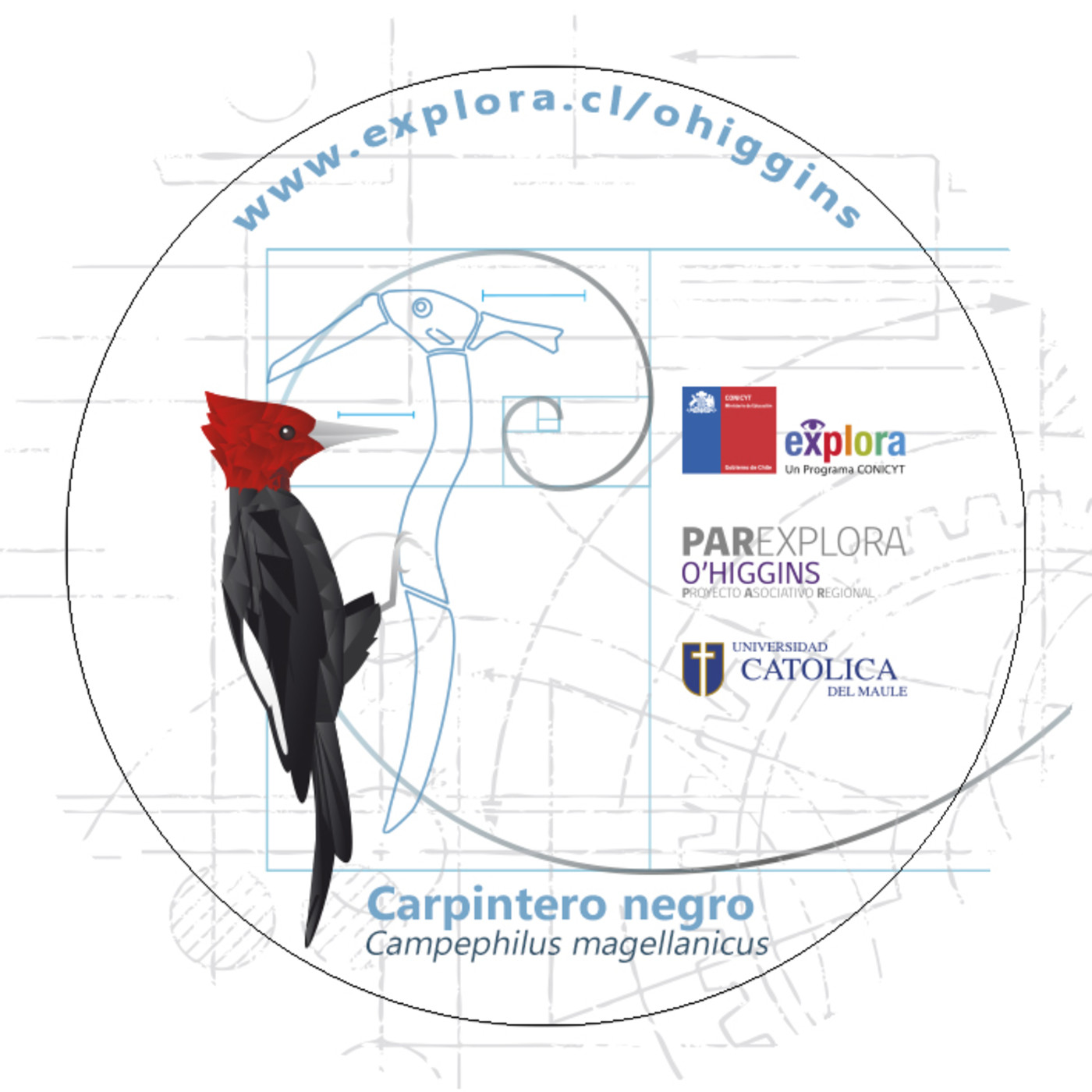 Frecuencia Explora