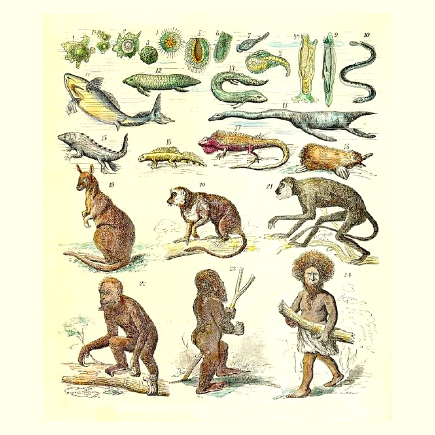 La cueva del Topo