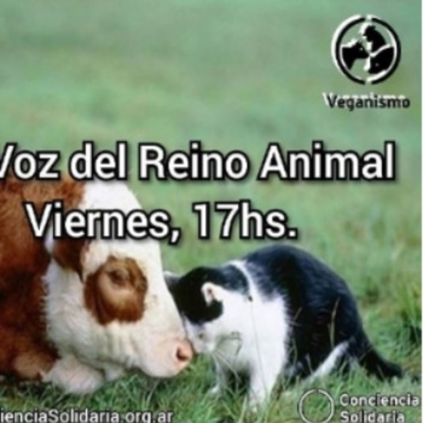 Extracto de #LaVozDelReinoAnimal! 7-6-19 episode artwork