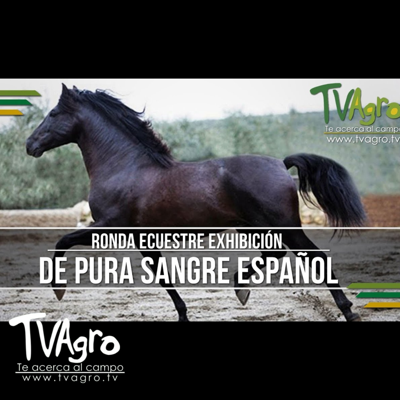 TV AGRO