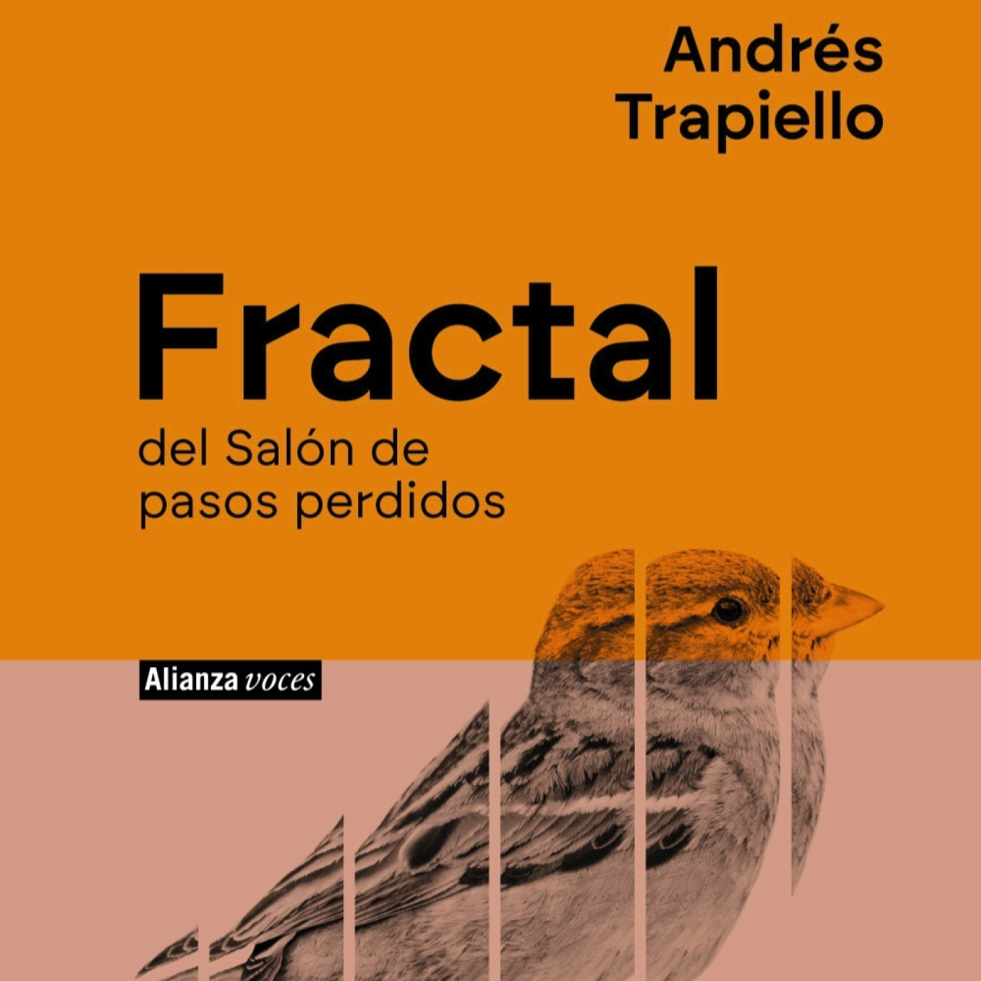 Por qué estoy tan triste teniéndolo todo