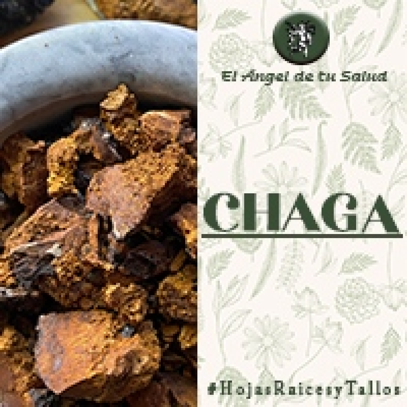 El Ángel de tu Salud - Chaga**