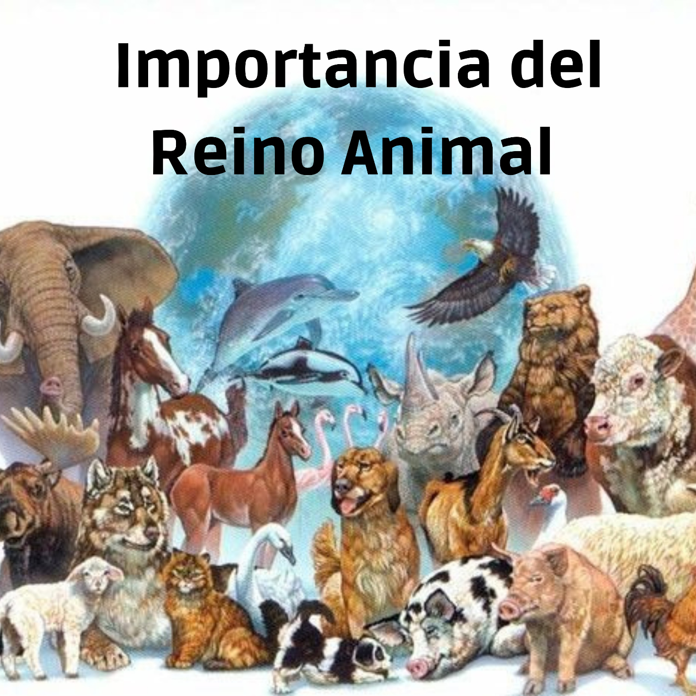 IMPORTANCIA DEL REINO ANIMAL - REINO ANIMAL - Podcast en iVoox