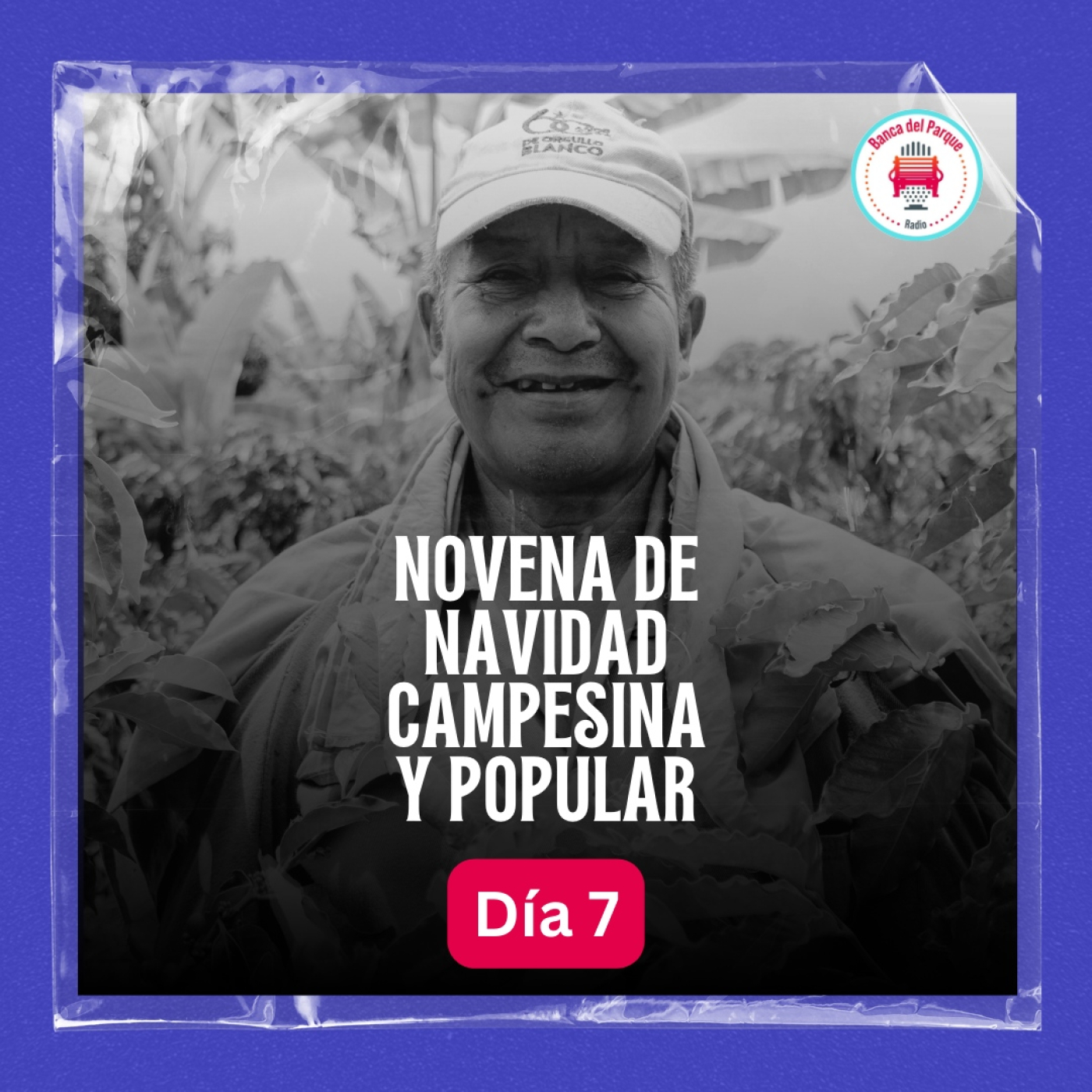 Podcast Banca del Parque Radio