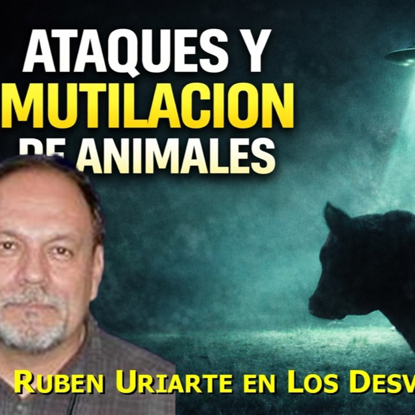 LOS DESVELADOS - RUBEN URIARTE: ATAQUES Y MUTILACION DE ANIMALES