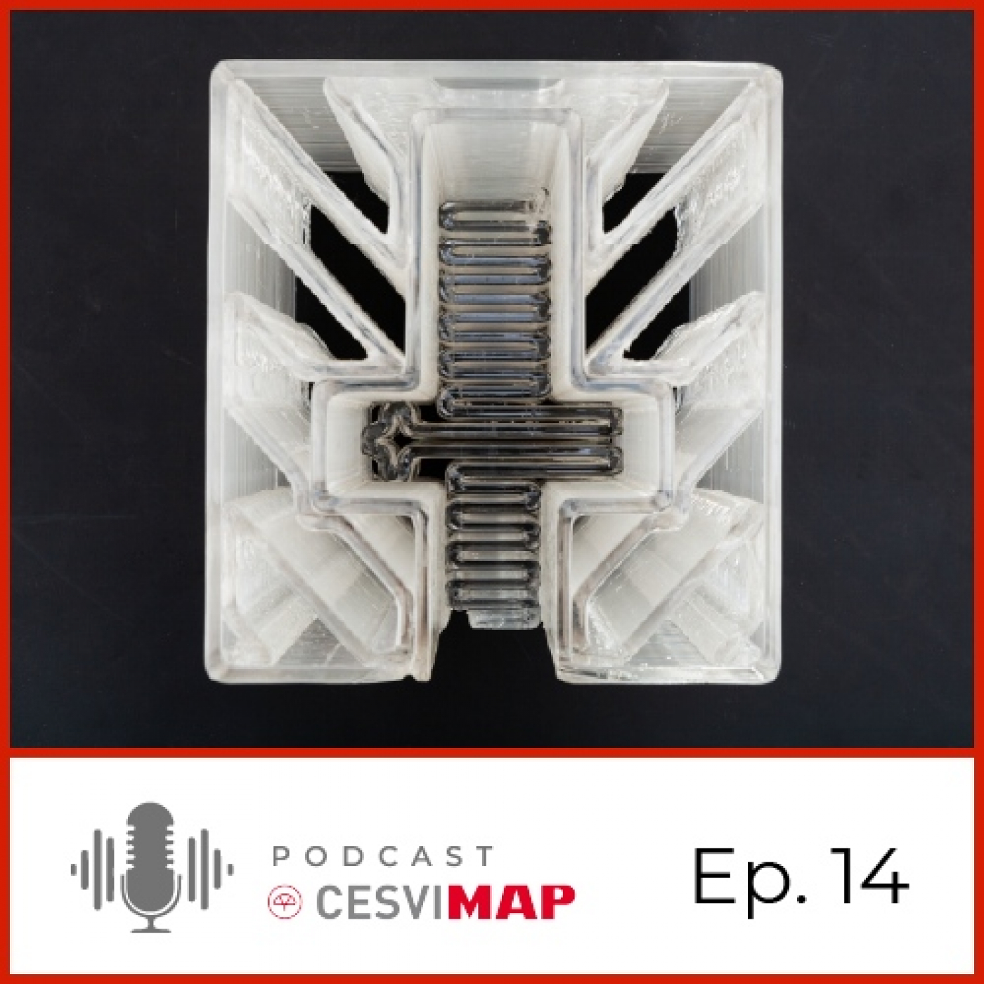 CESVIMAP podcast