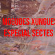 Mogudes Xungues Especial Sectes