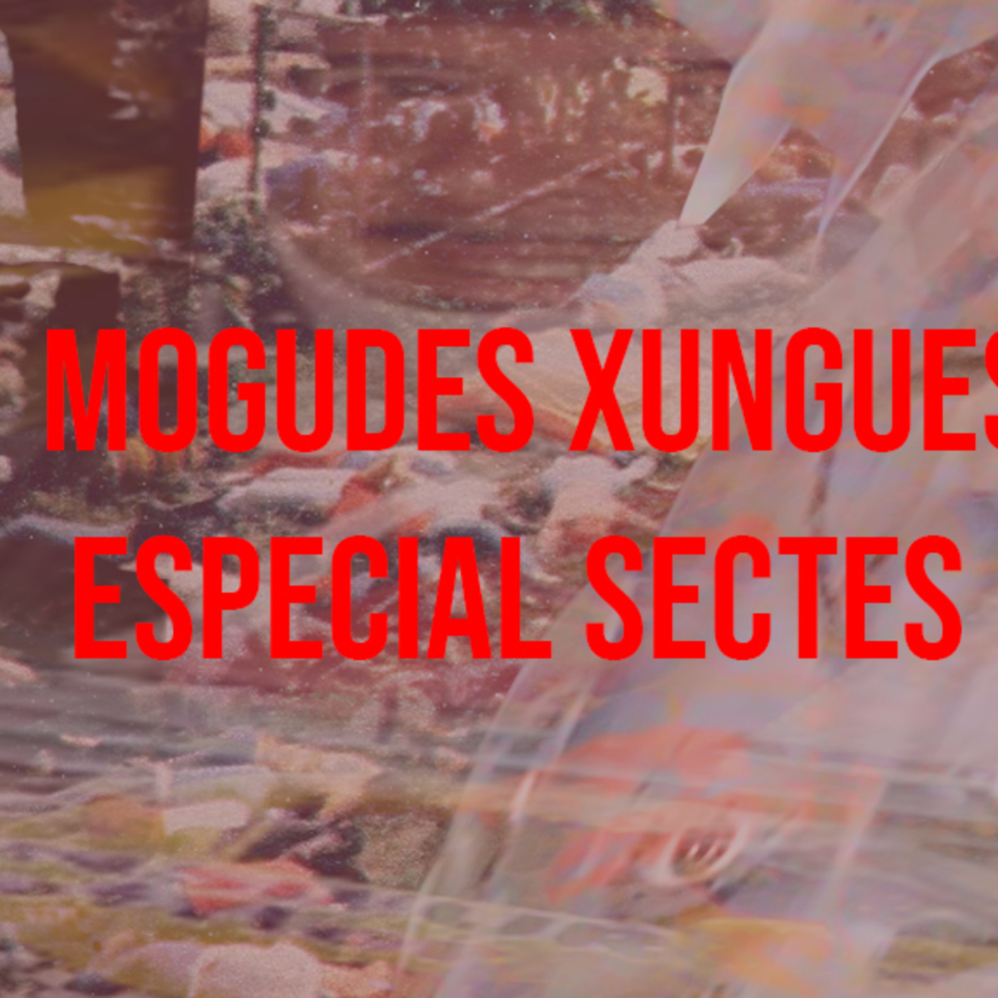 Mogudes Xungues