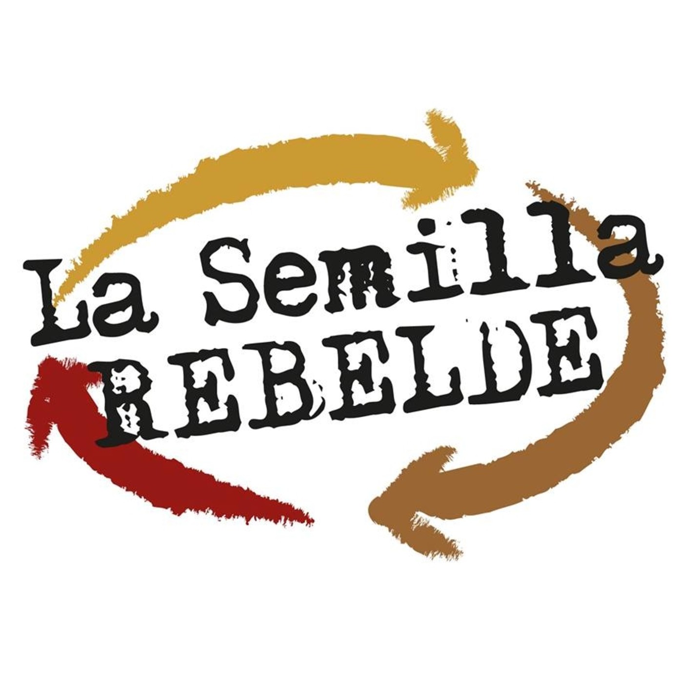 Entrevista a Tamara Terelmuter, de la Multisectorial contra la Ley Monsanto de Semillas