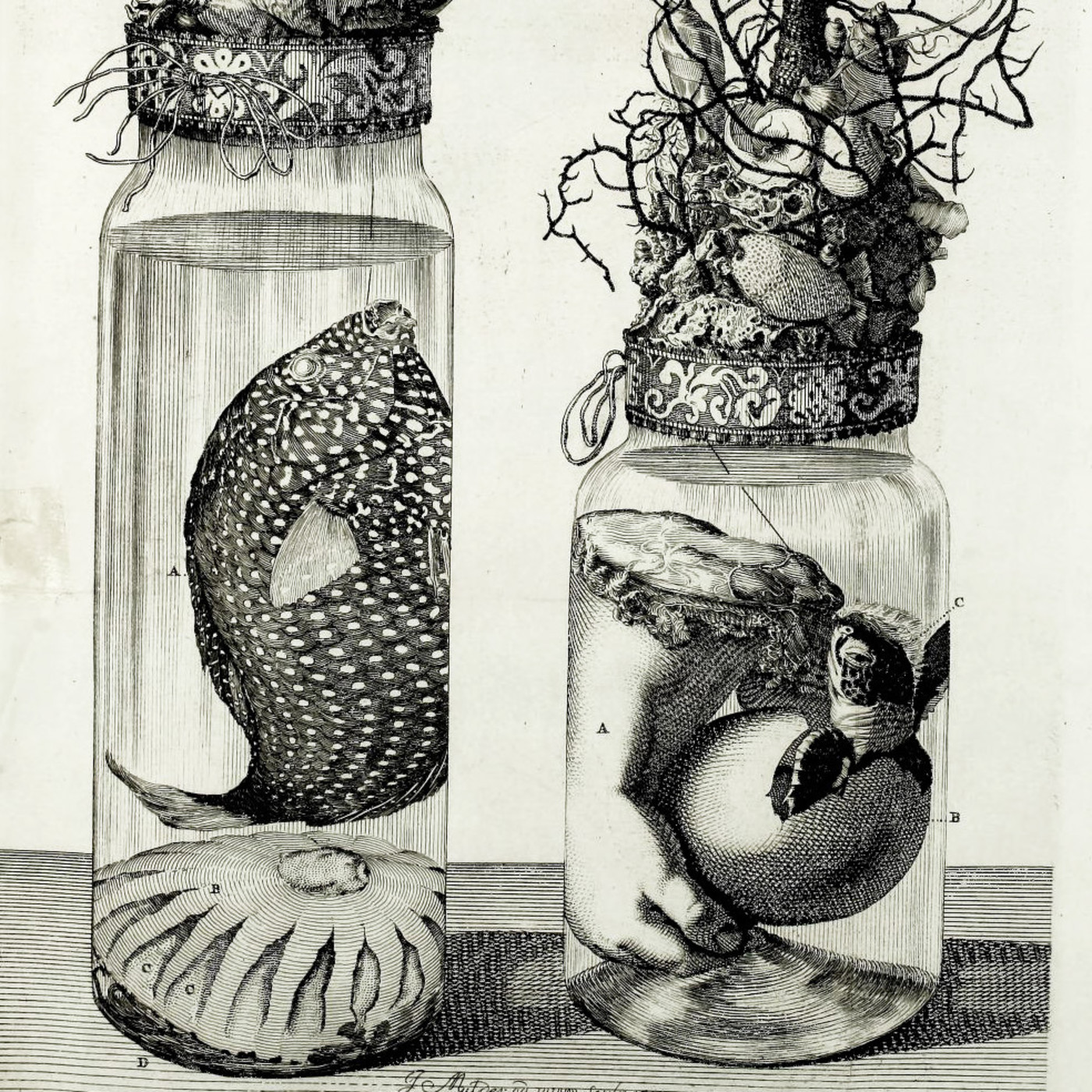 Círculo de Lovecraft