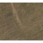 Una ciudad romana bajo el trigo