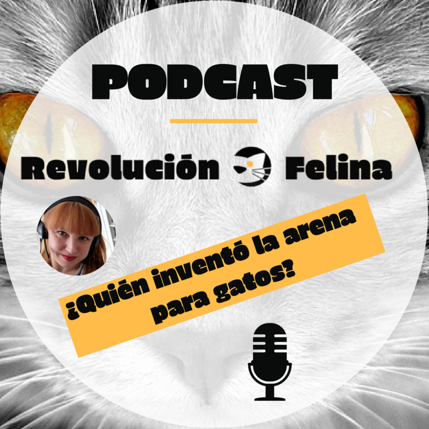 Revolución Felina