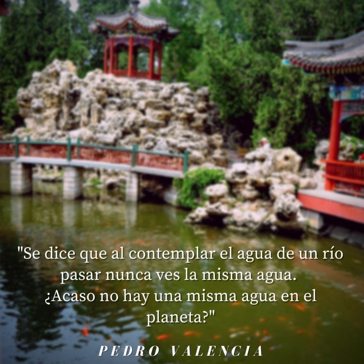 Meditación y Reflexión con Pedro Valencia