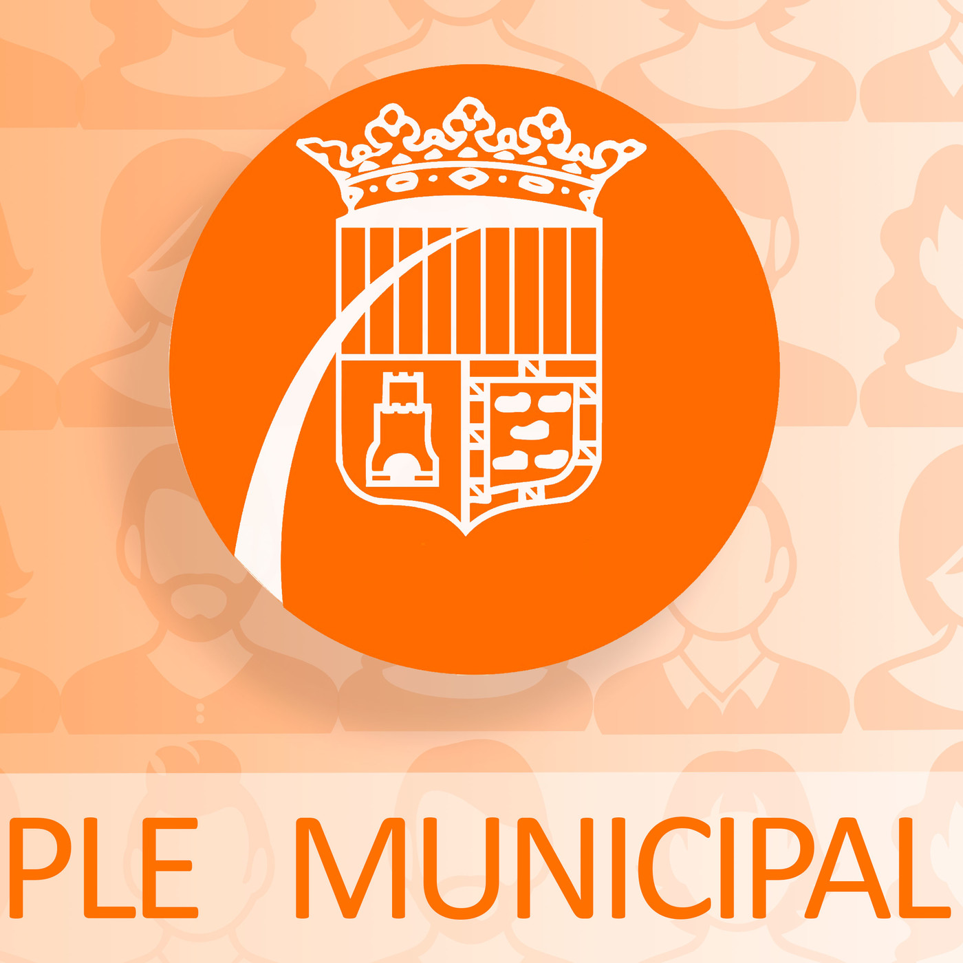 Ple municipal de desembre. L'anàlisi episode artwork