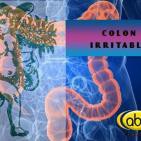 EL ÁNGEL DE TU SALUD- Rodrigo Mondragón - COLON IRRITABLE