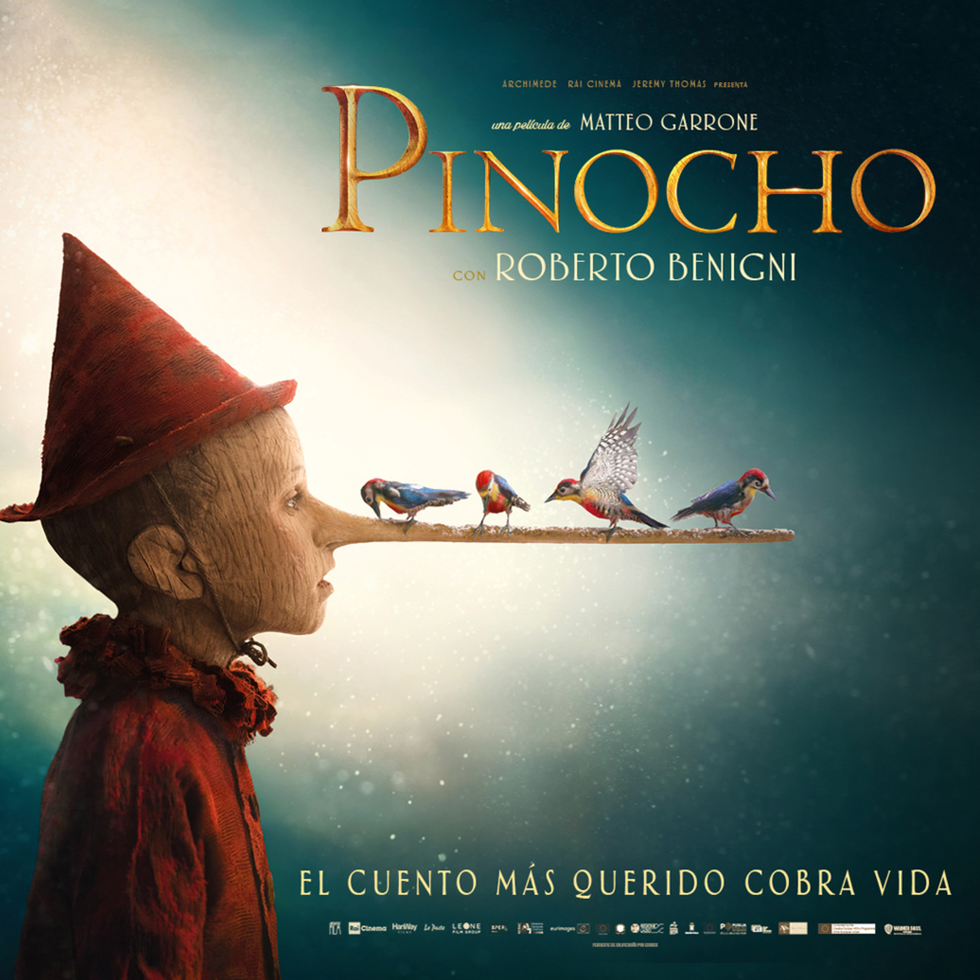 Estamos de cine