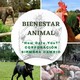 Bienestar Animal
