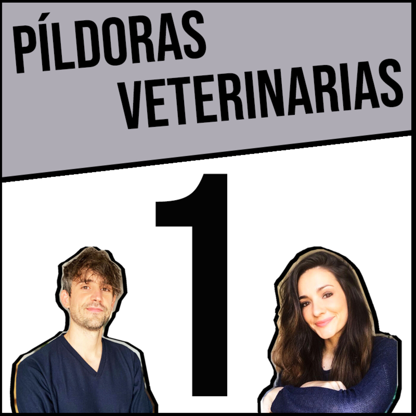 Píldoras Veterinarias
