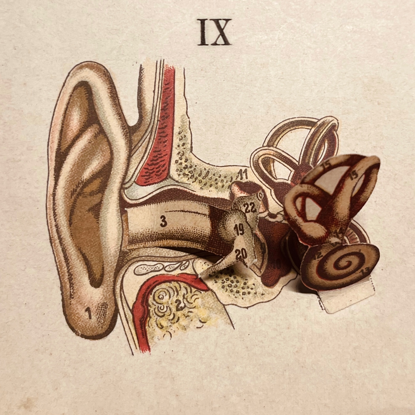 EPSA is Burning S27 E09 - Episodio exclusivo para mecenas