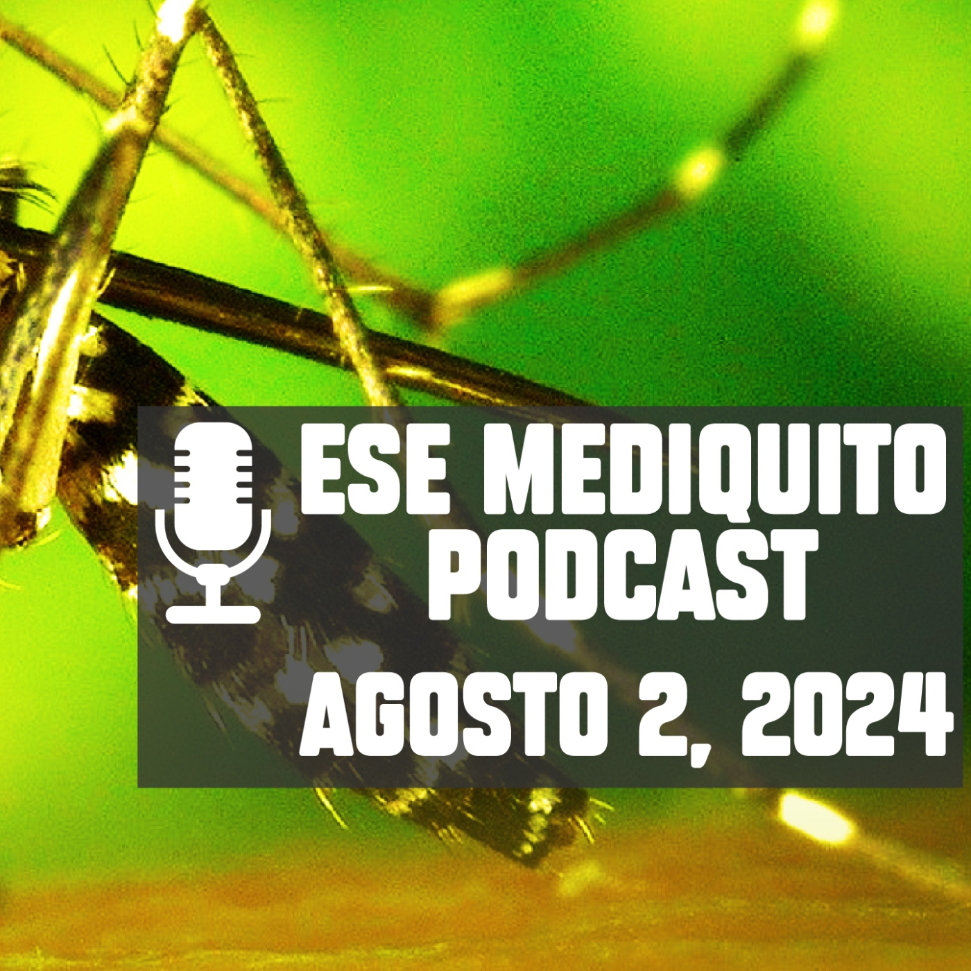 Ese Mediquito