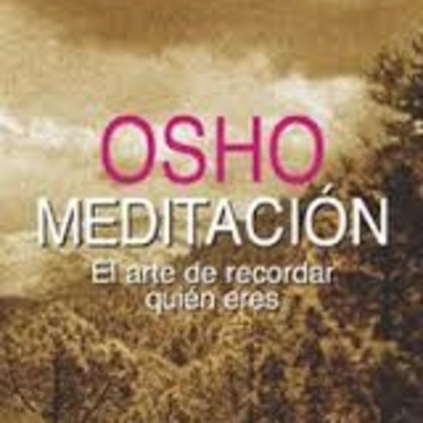MUSICA  AUDIOLIBROS