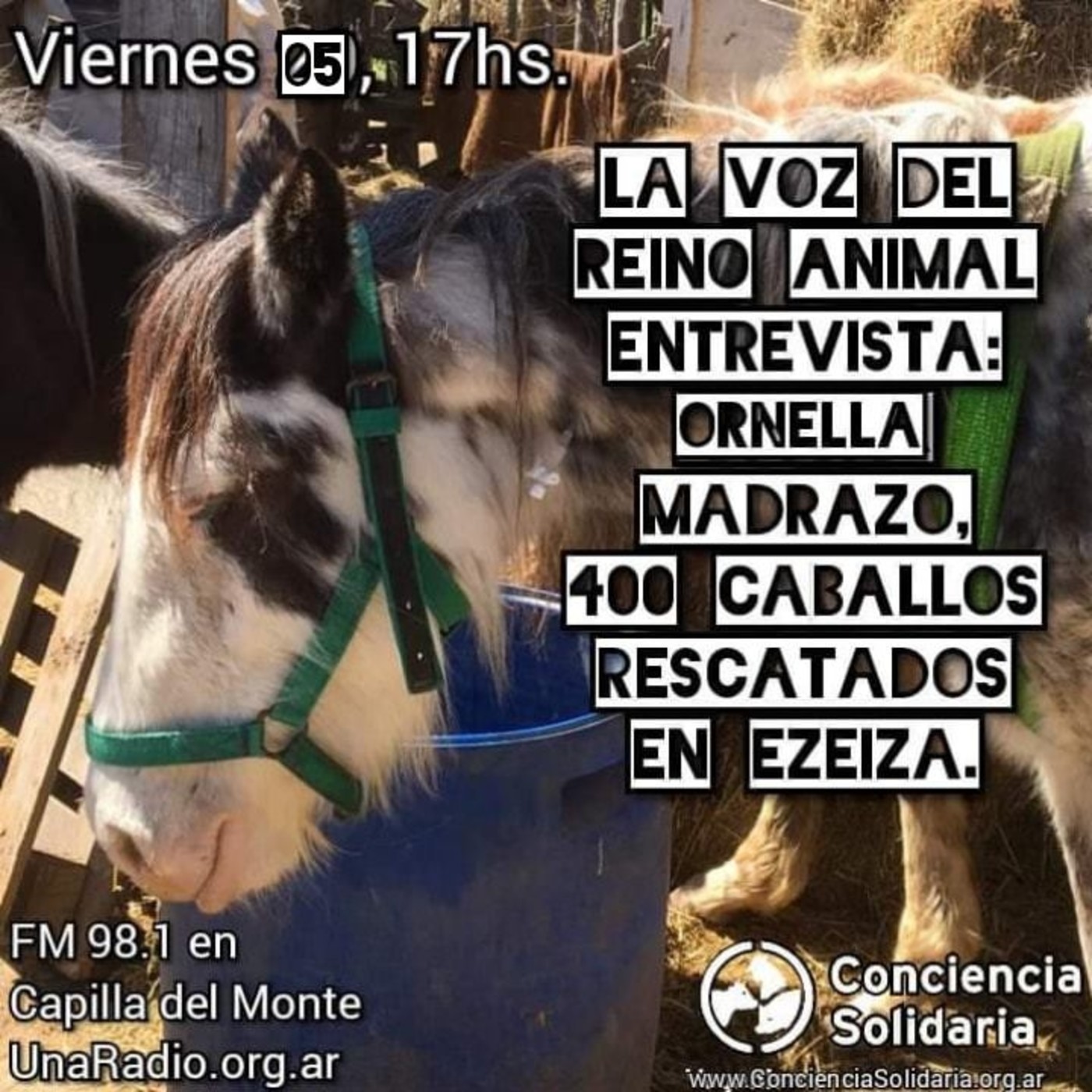 ¡#LaVozDelReinoAnimal! 4.10.19 episode artwork
