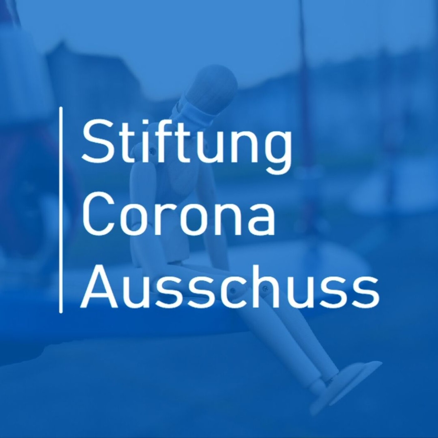 Anhörungen | Stiftung Corona-Ausschuss